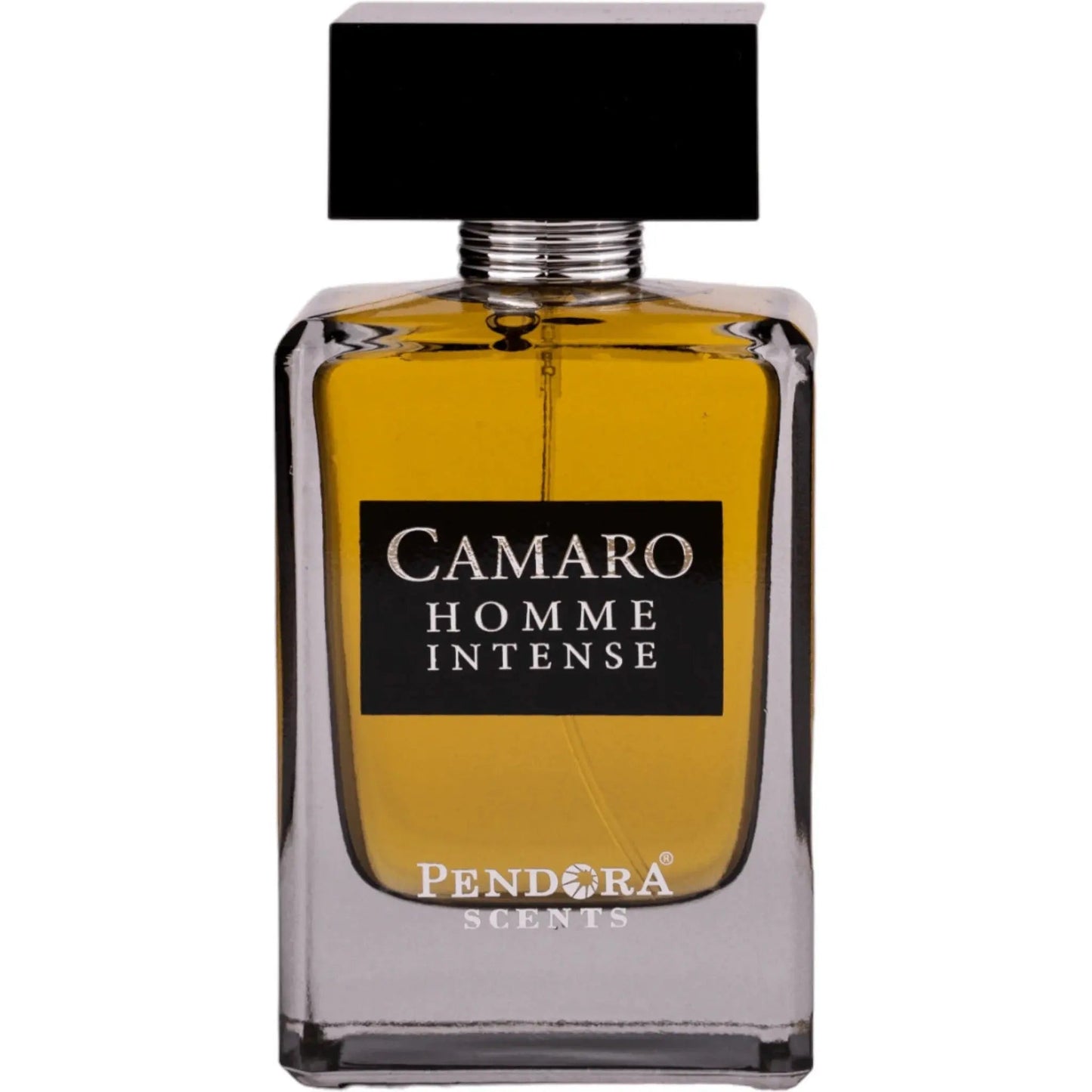 Camaro Homme Intense Perfume 100ml EDP Pendora Scents by Paris Corner