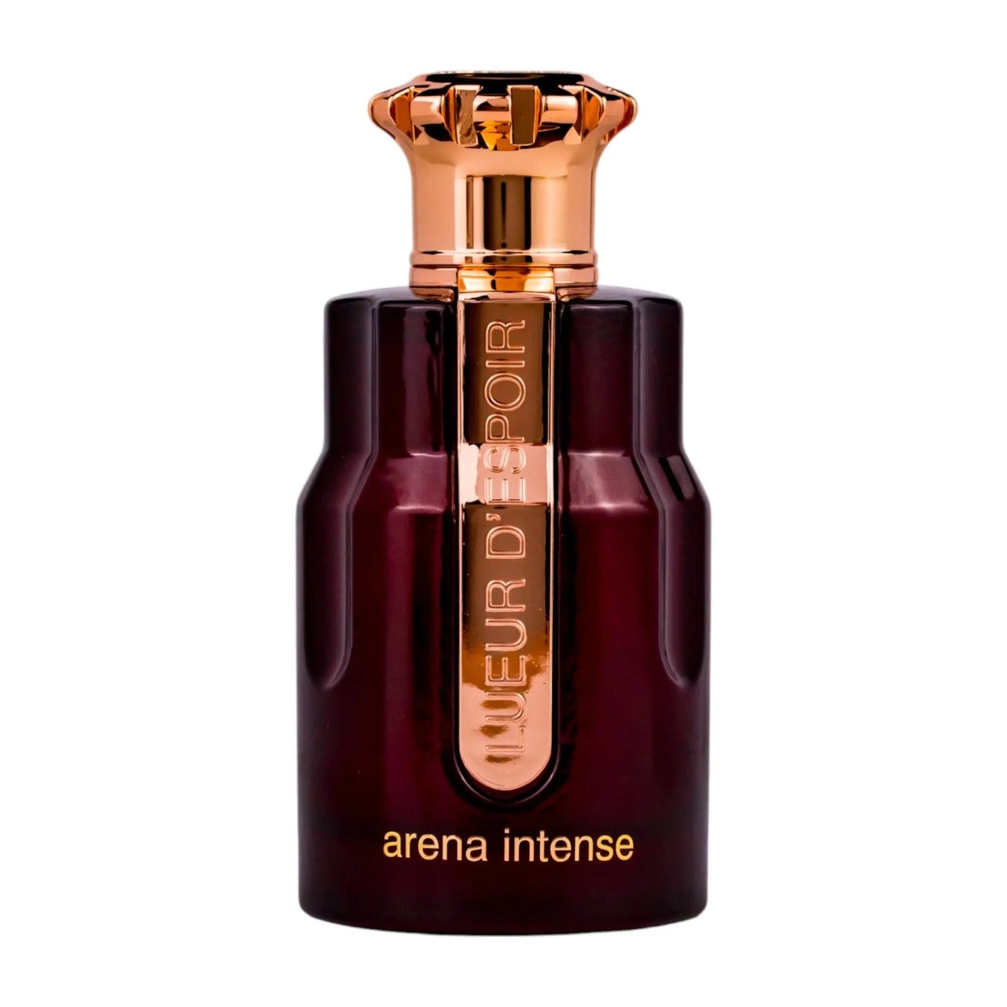 Emir Arena Intense Perfume 100ml EDP Paris Corner