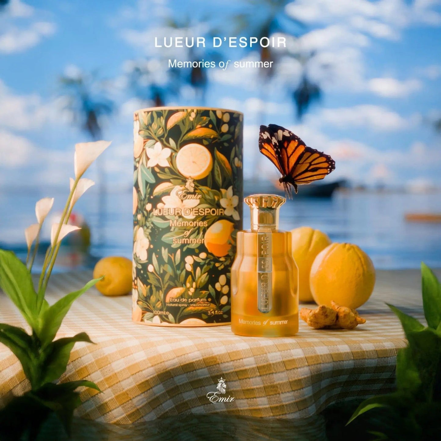 Emir Memories of Summer Perfume 100ml EDP Paris Corner