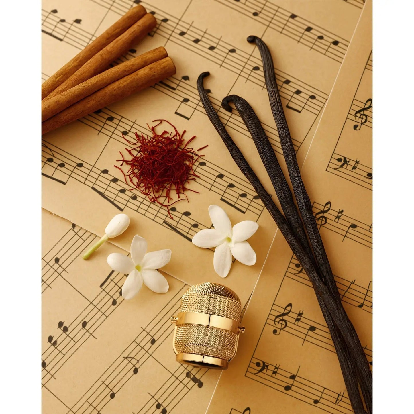 Notes Jazz Perfume