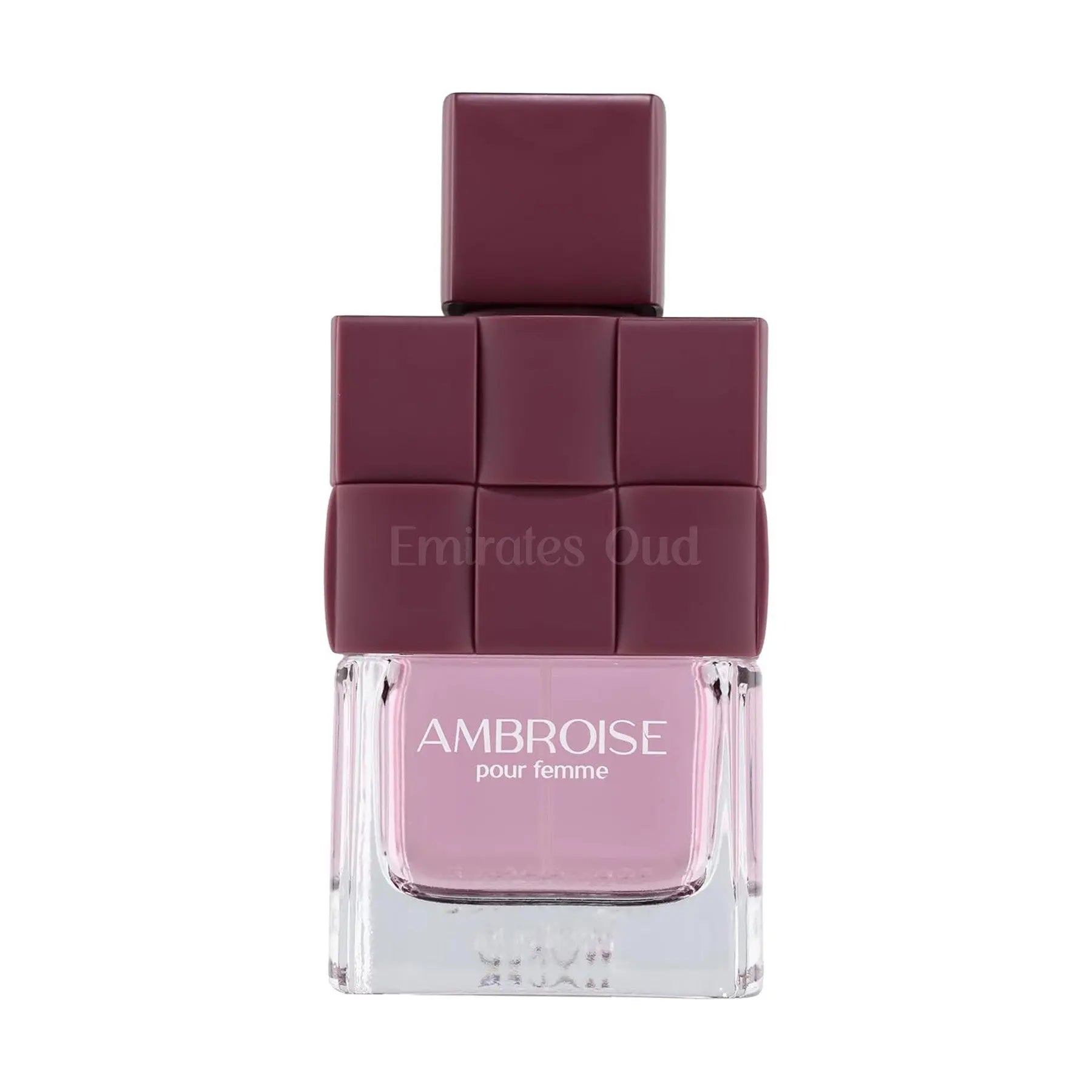 Ambroise Pour Femme Perfume 100ml EDP FA Paris by Fragrance World