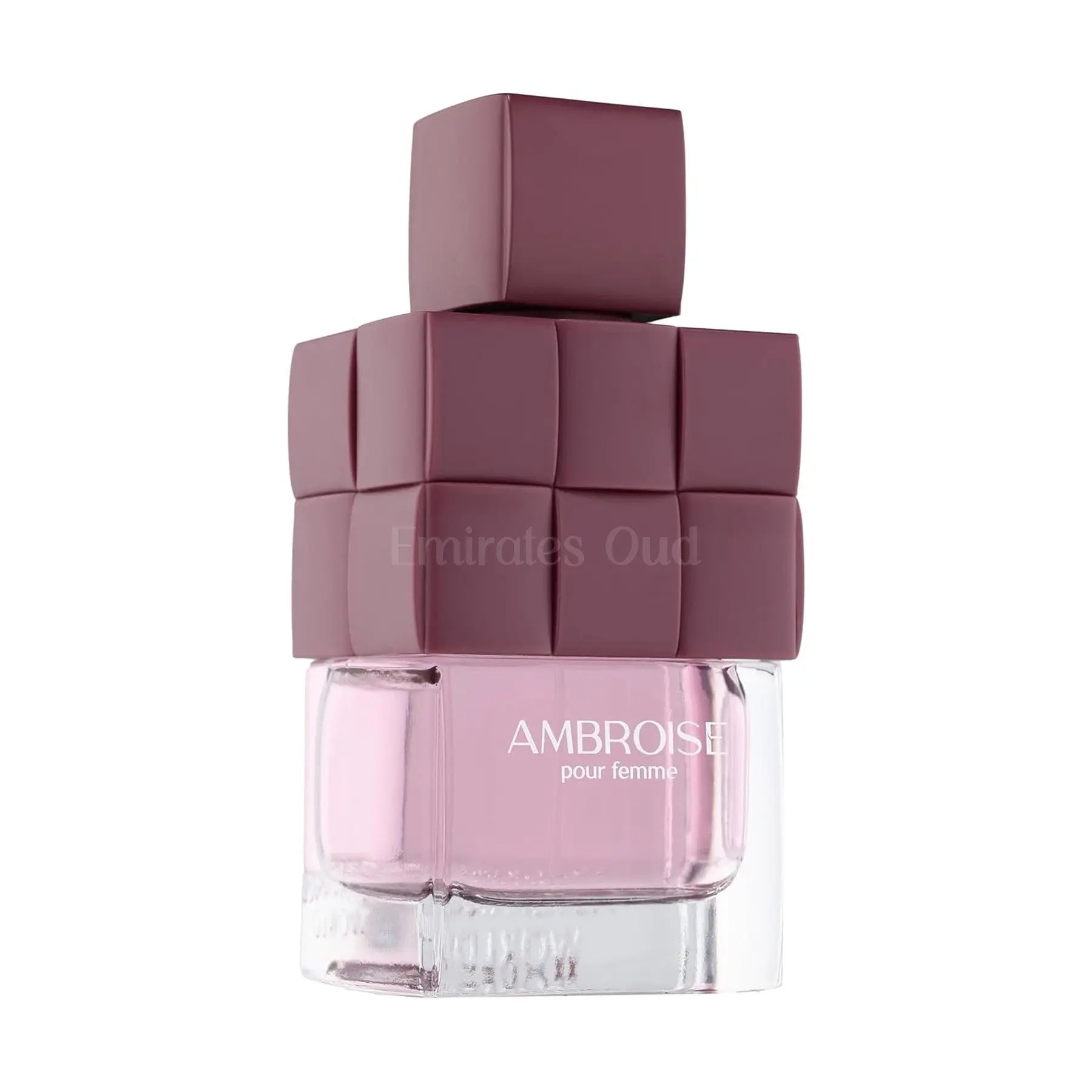 Ambroise Pour Femme Perfume 100ml EDP FA Paris by Fragrance World