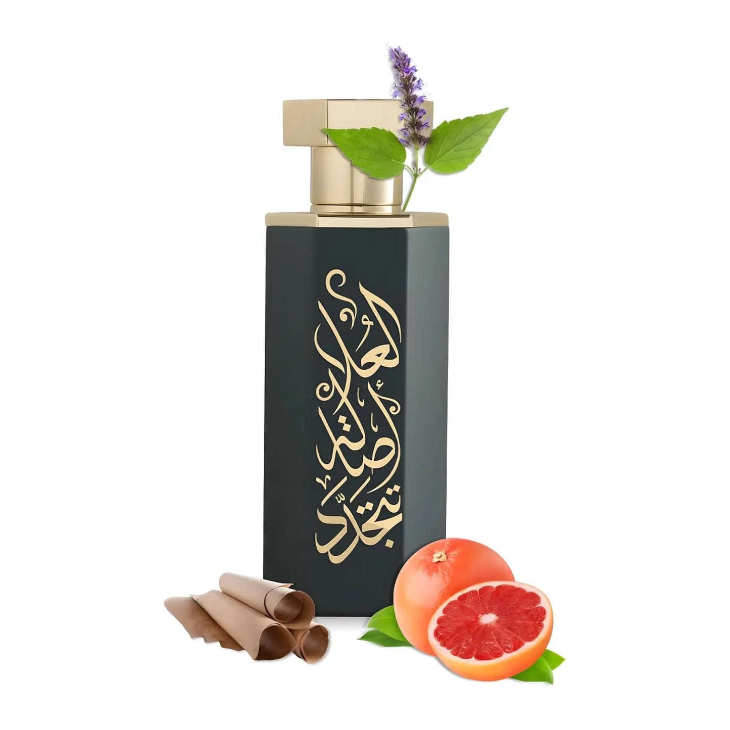Arabs of AlUla EDP 100ml Reef Perfumes