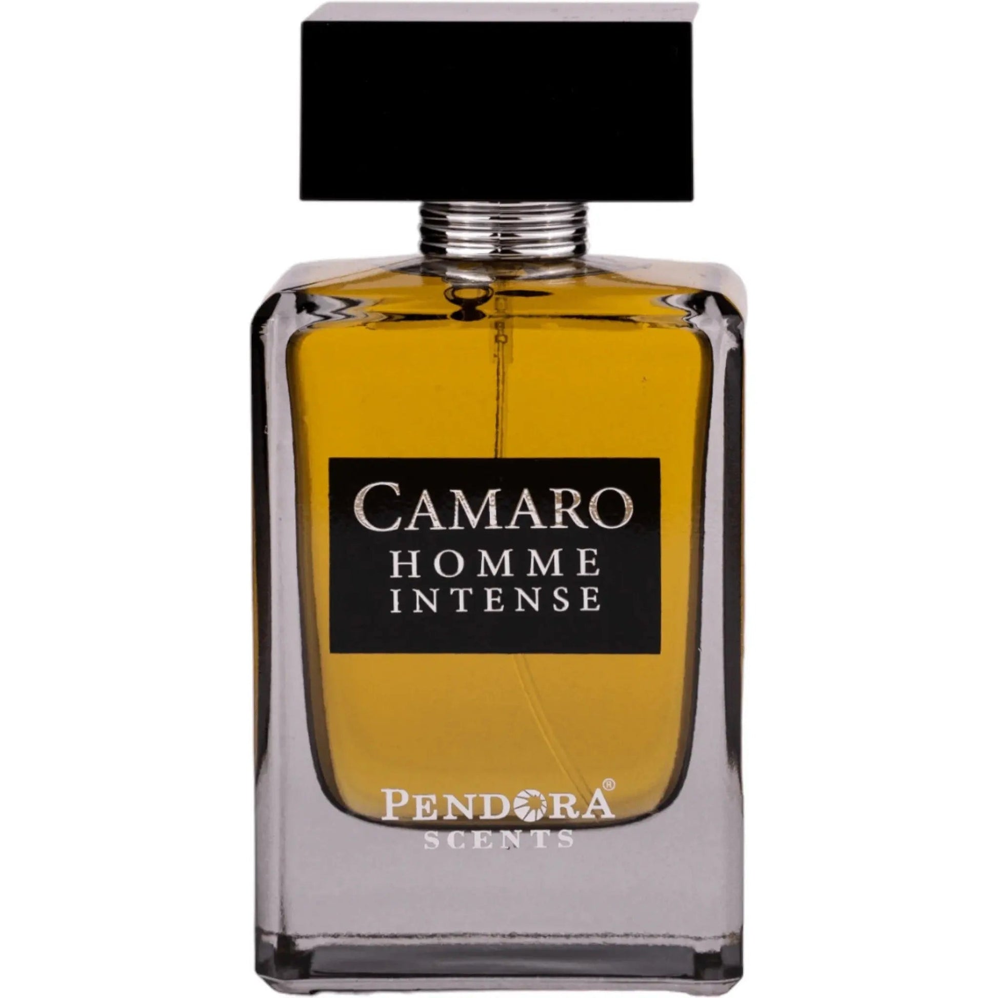 Camaro Homme Intense Perfume 100ml EDP Pendora Scents by Paris Corner