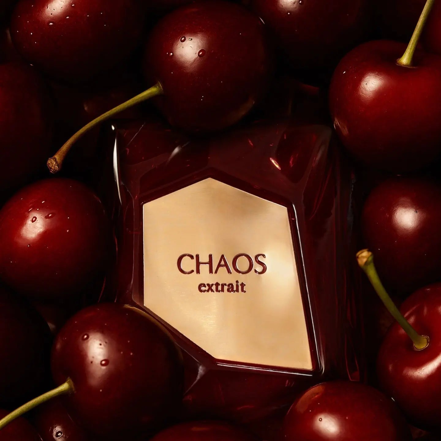 Chaos Extrait Perfume 100ml EDP French Avenue