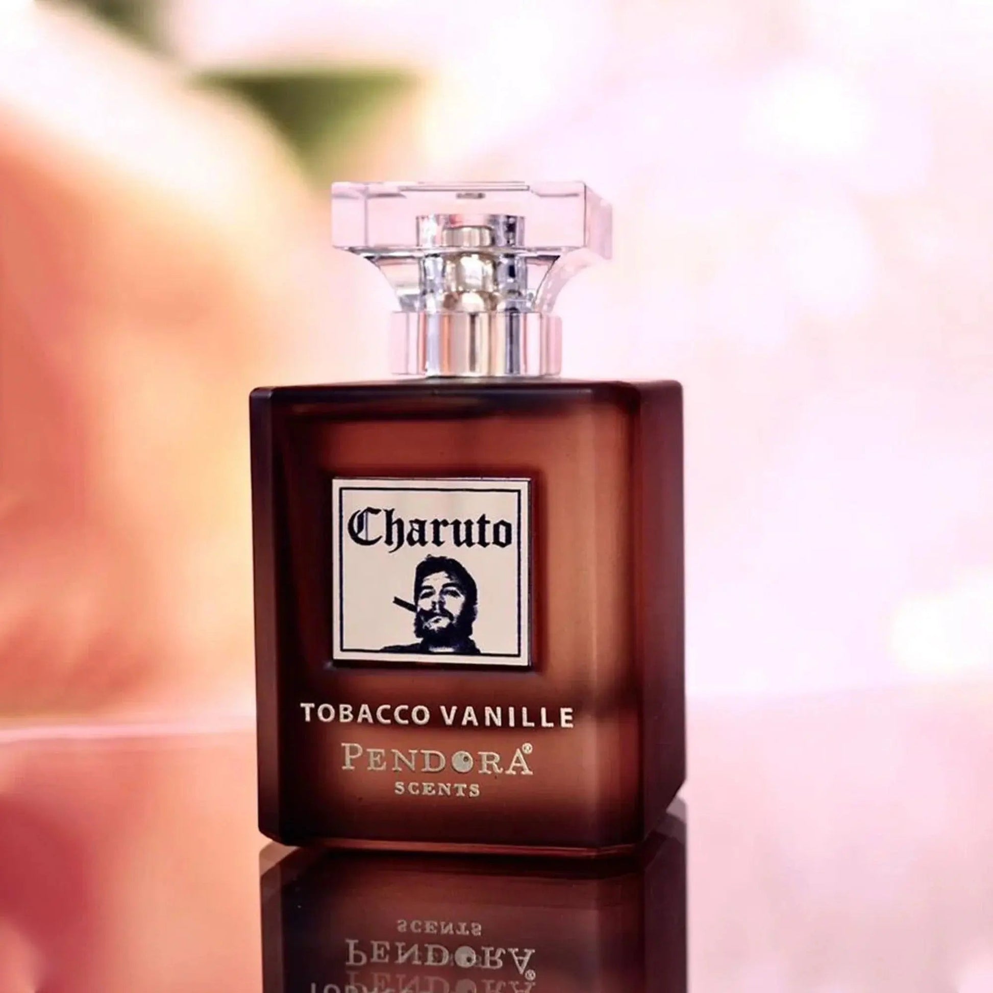 Charuto Tobacco Vanille Perfume 100ml EDP Pendora Scents by Paris Corner