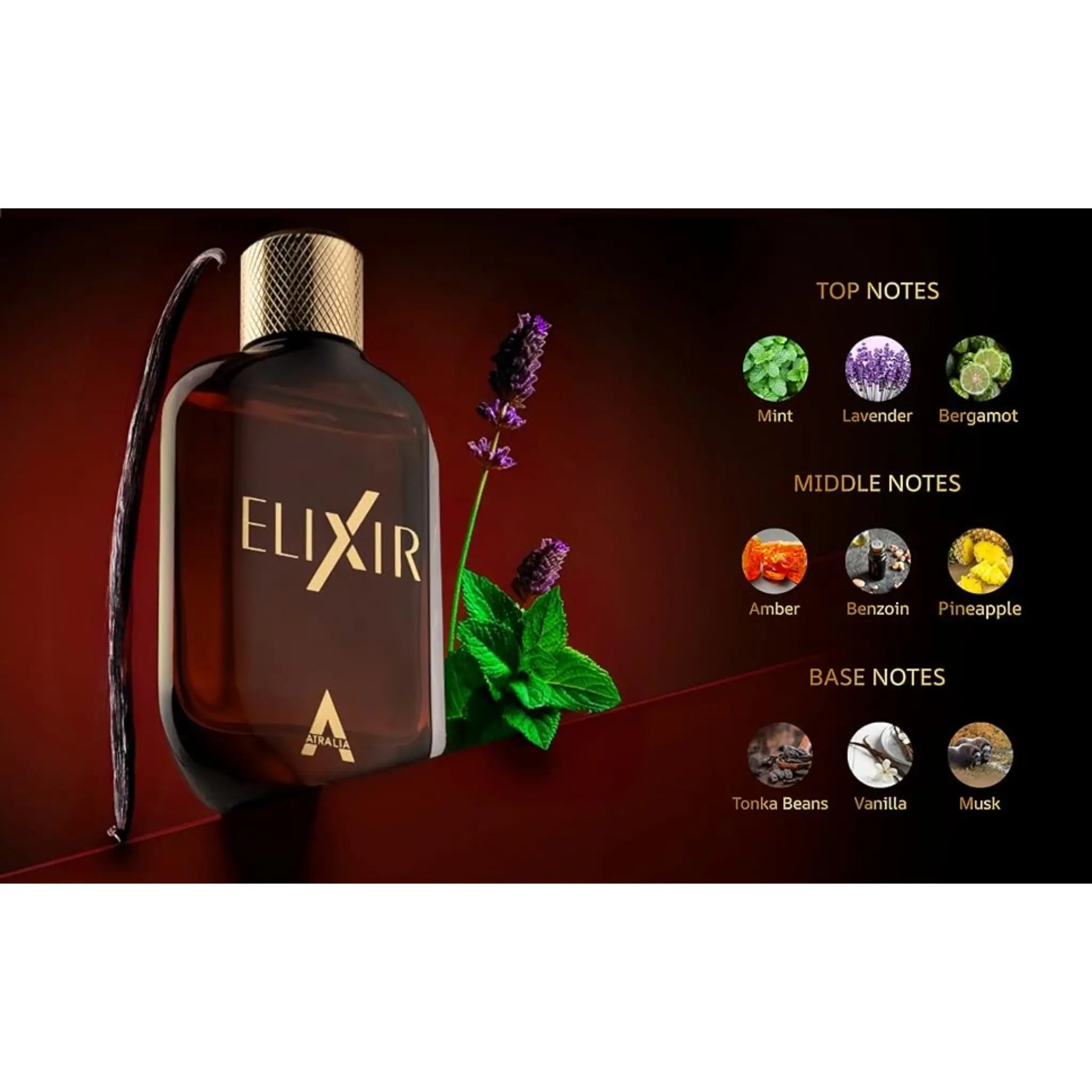 Elixir Perfume 100ml EDP Atralia | Wholesale Perfume Suppliers UK