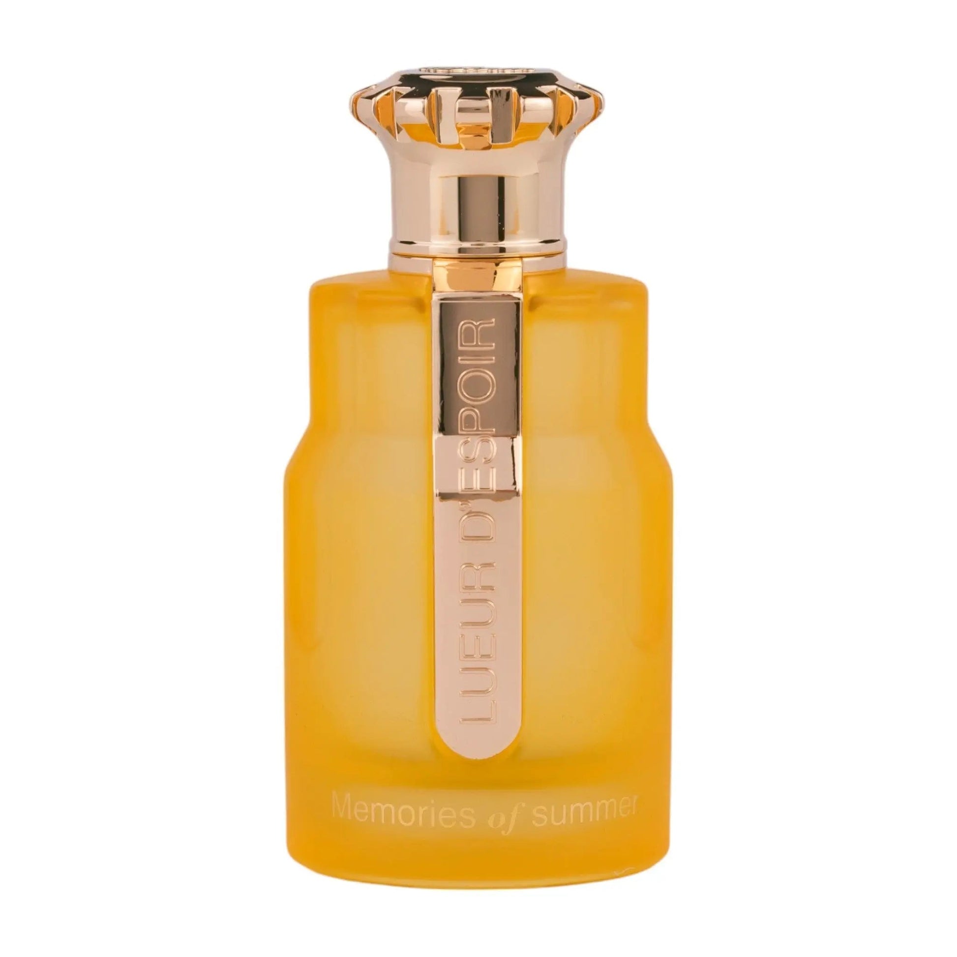 Emir Memories of Summer Perfume 100ml EDP Paris Corner