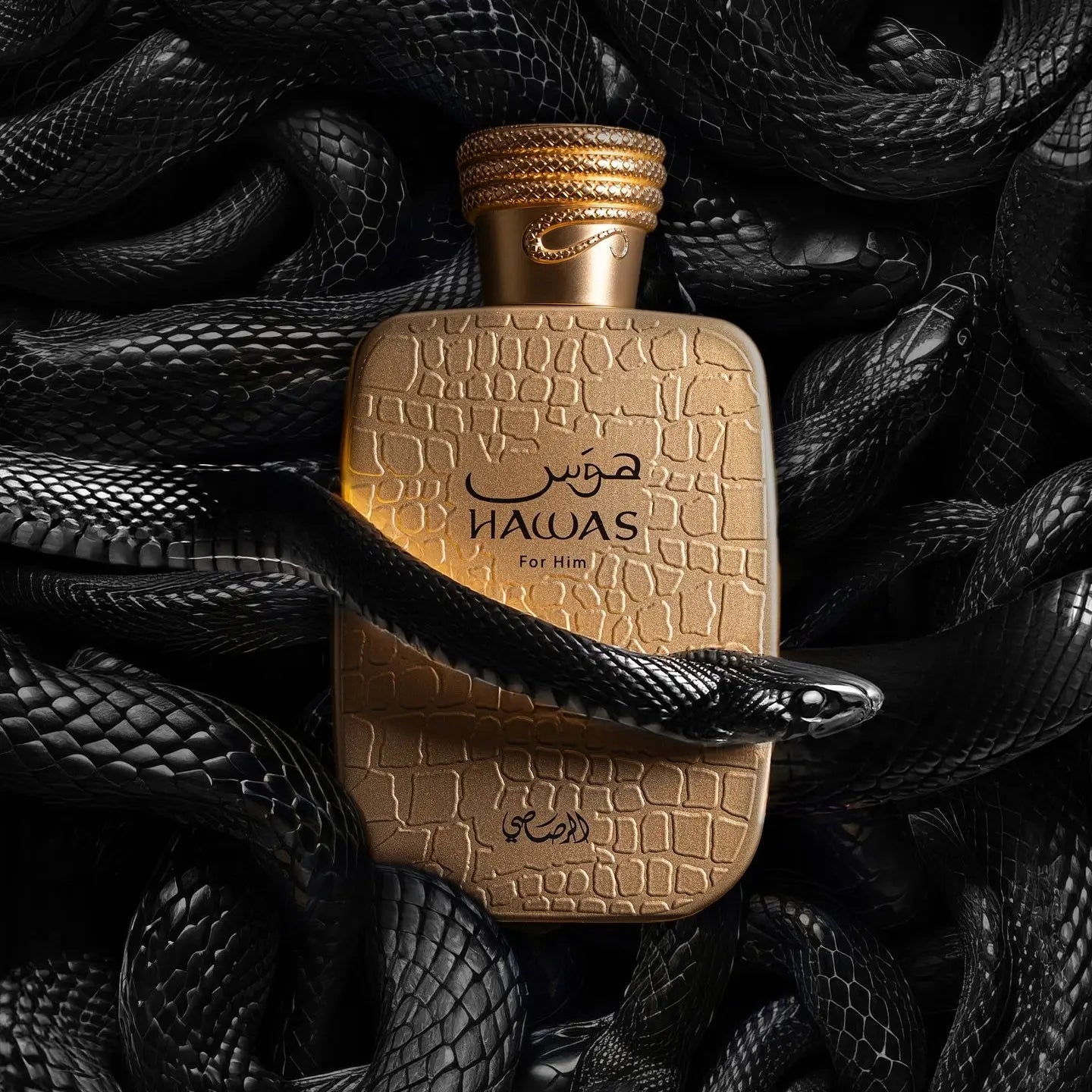 Hawas Viper Perfume 100ml EDP Rasasi