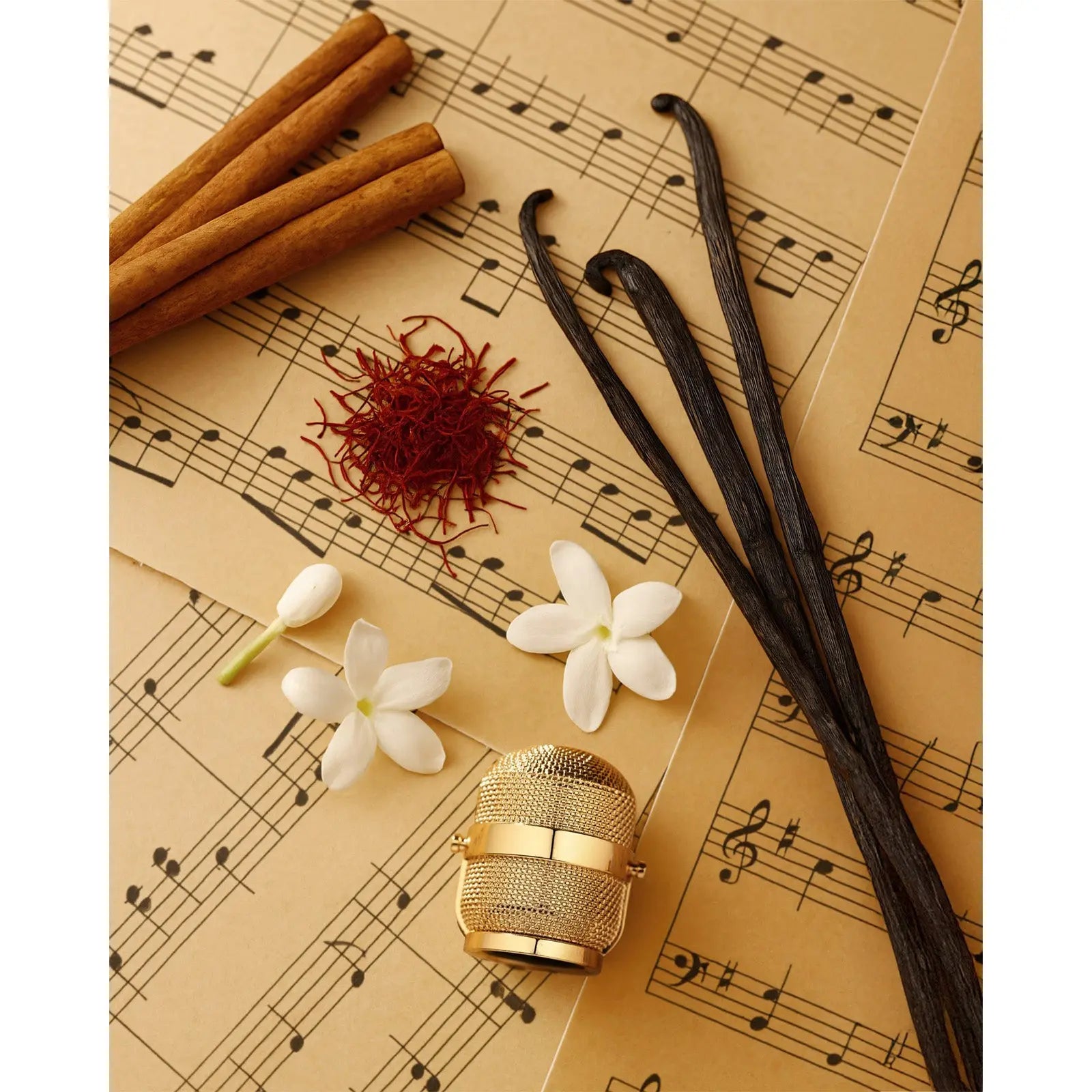 Notes Jazz Perfume