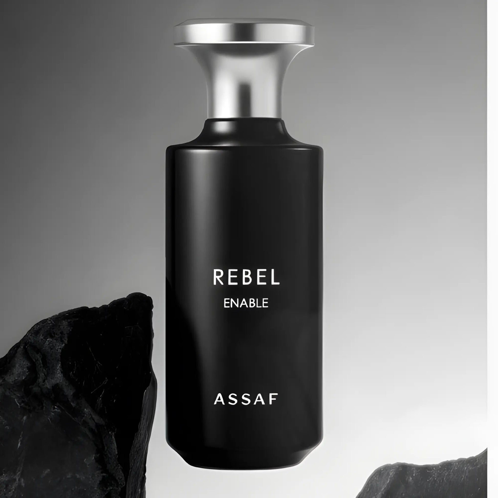Rebel Enable Perfume 150ml EDP Assaf