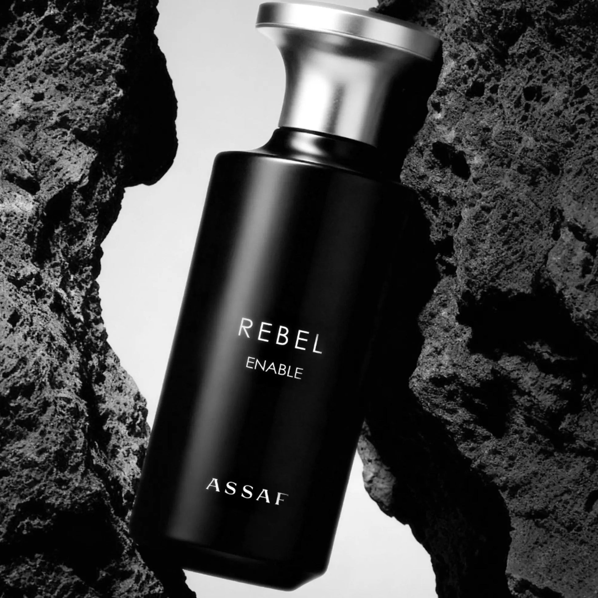 Rebel Enable Perfume 150ml EDP Assaf