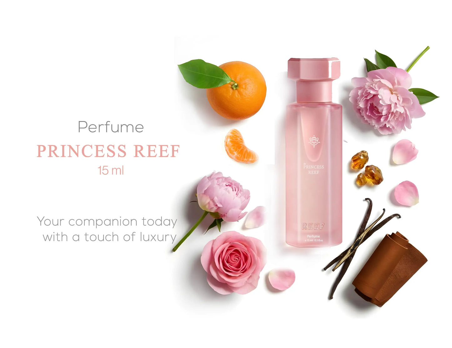Reef Princess Box Collection Set by Reef